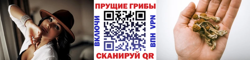 Псилоцибиновые грибы Psilocybine cubensis  купить наркотик  Неман 